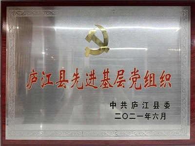 2021�Ƚ����㵳��֯